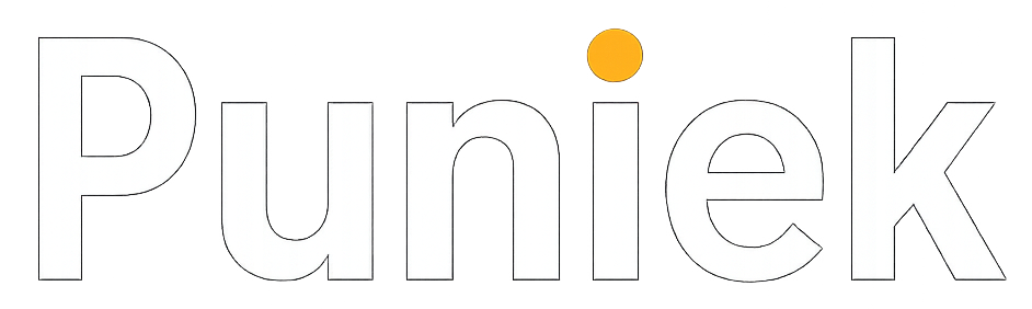 Puniek | Automation & Software Agency
